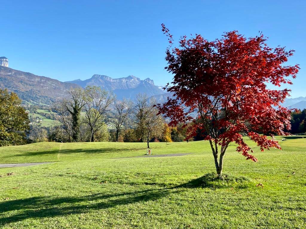Faire un stage de Golf a Annecy