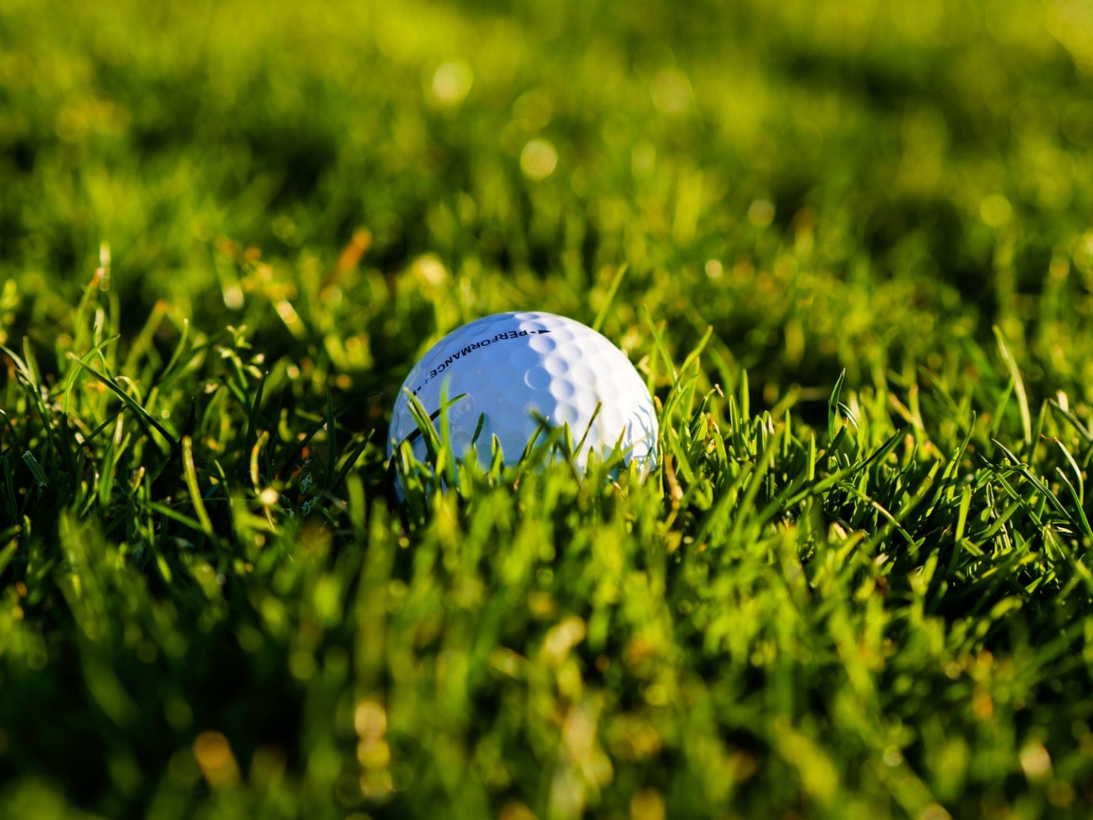 trouver l'index d'un joueur golf