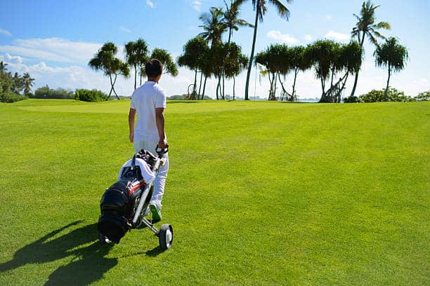 Chariot de golf enfant