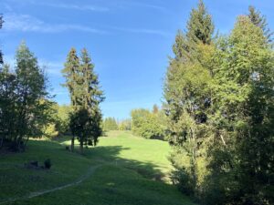 Comment planter un tee au départ